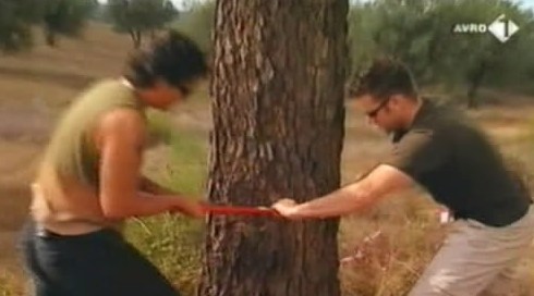 [object Object],Boom omhakken, in ,aflevering 8