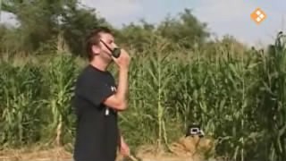 [object Object],Dennis, bij ,Maïsveld, in ,aflevering 3