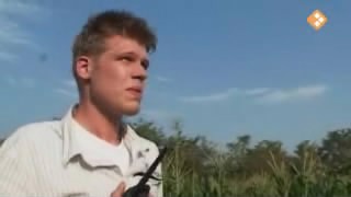 [object Object],Coen, bij ,Maïsveld, in ,aflevering 3