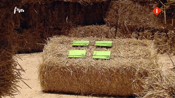 [object Object],Labyrinth, in ,aflevering 8