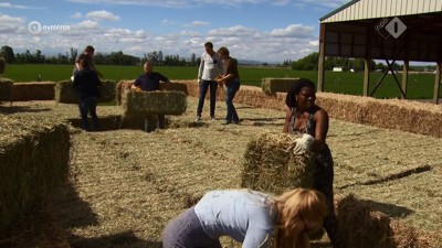 [object Object],Geld in een hooiberg, in ,aflevering 4