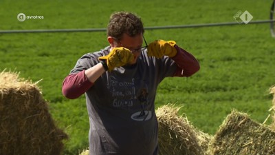 [object Object],Diederik, bij ,Geld in een hooiberg, in ,aflevering 4