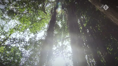 [object Object],Roulette, in ,aflevering 7