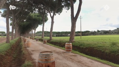 [object Object],Wegdenken, in ,aflevering 7