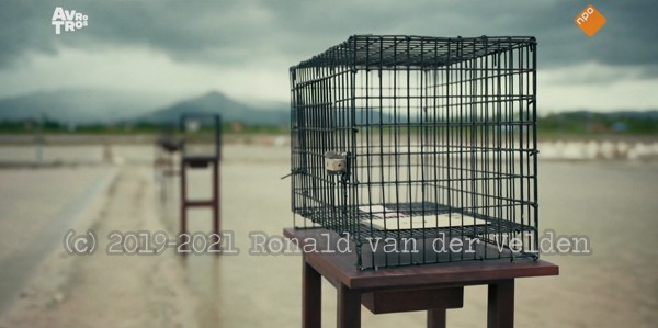 [object Object],Zout in de wonden strooien, in ,aflevering 8